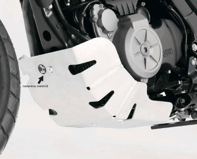 Hepco&Becker Aluminium Crankcase Protection for BMW G650GS from 2011 to 2016
