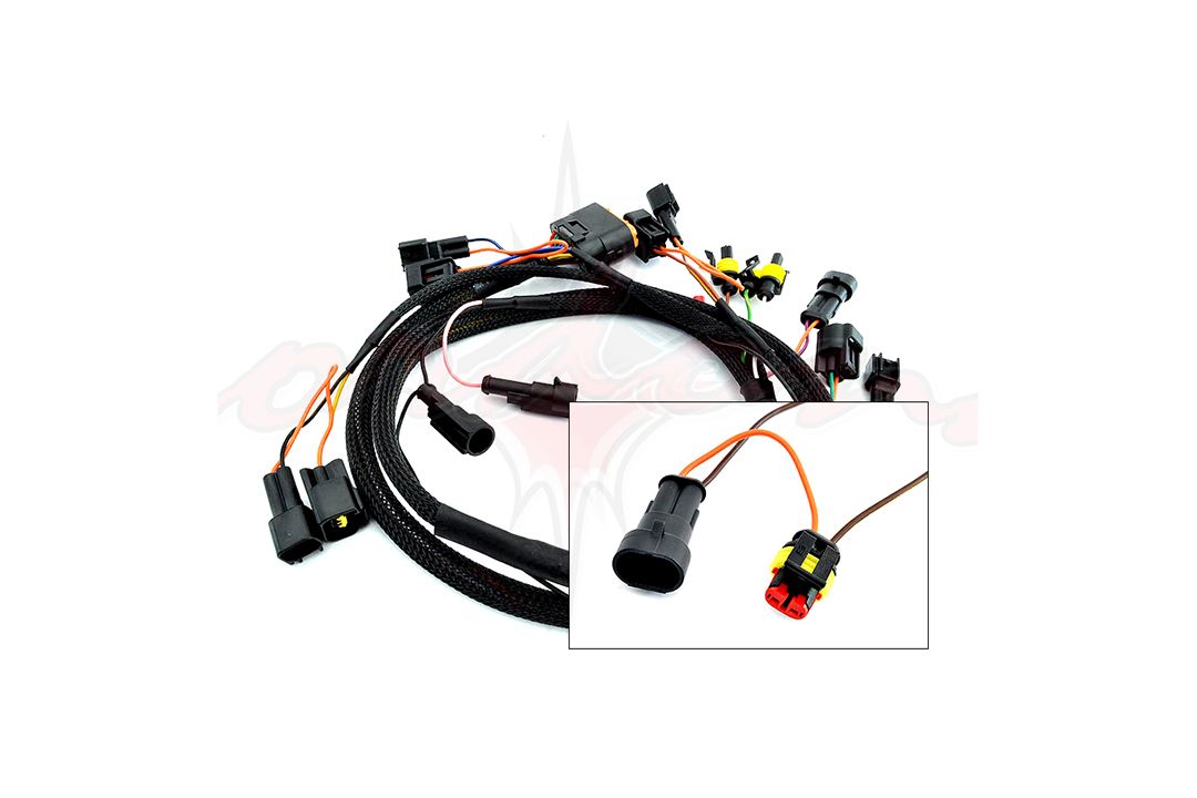 CORDONA WIRING HARNESS TWIN FASTON