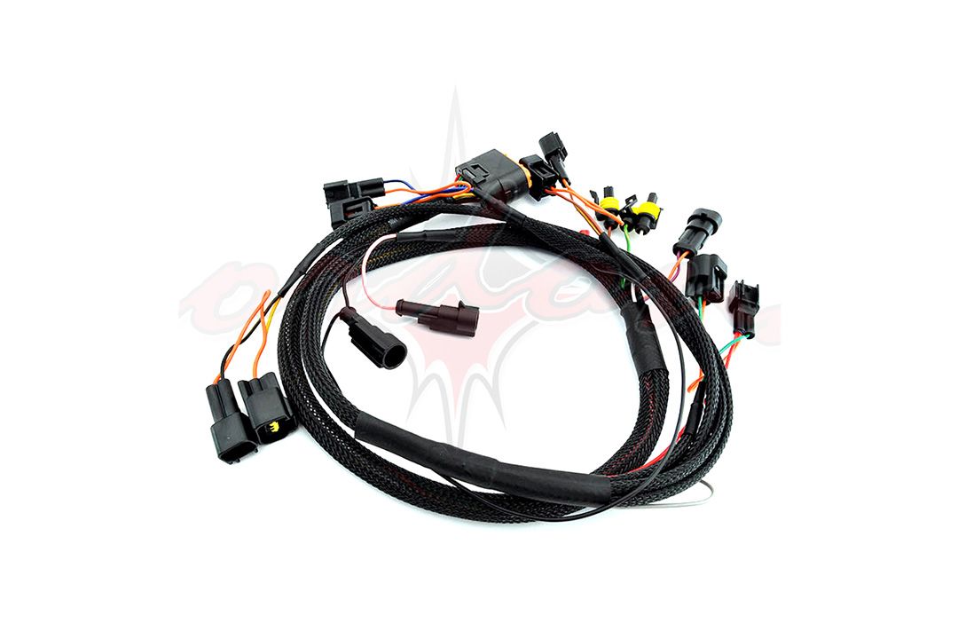 Cordona wiring harness universal 4 cylinder with Denso and Mitsubishi ignition coils