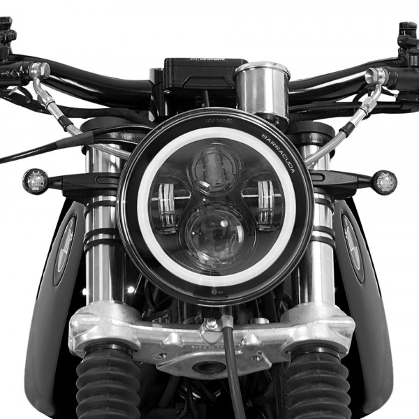 Barracuda Headlight Dragon LED