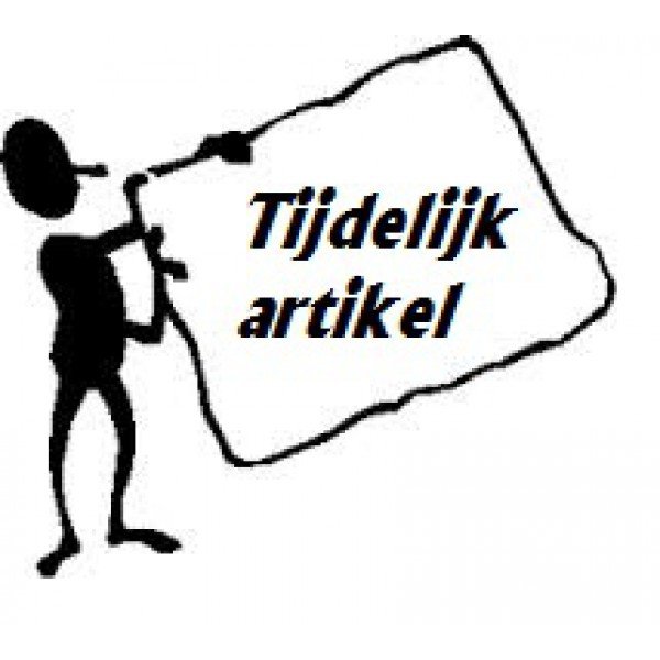 Tijdelijk artikel 3